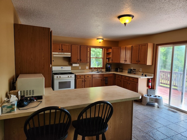 6386 E Peavey St, Walkerville, MI 49459 - photo 10