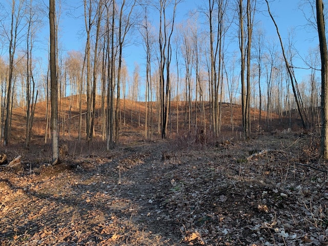 Chief O Rd, Bear Lake, MI 49614 - photo 1