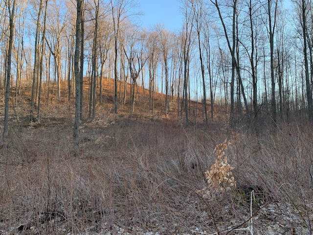 Chief O Rd, Bear Lake, MI 49614 - photo 2