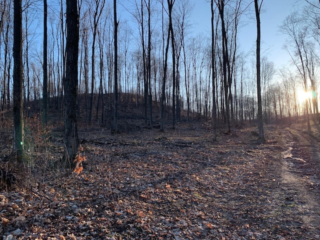Chief O Rd, Bear Lake, MI 49614 - photo 3