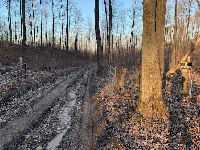 Chief O Rd, Bear Lake, MI 49614 - photo 4