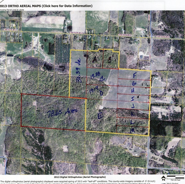 Chief O Rd, Bear Lake, MI 49614 - photo 5