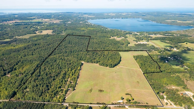Chief O Rd, Bear Lake, MI 49614 - photo 6
