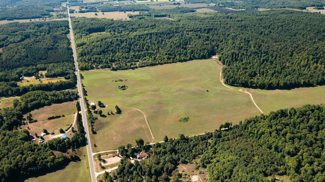Chief O Rd, Bear Lake, MI 49614 - photo 9