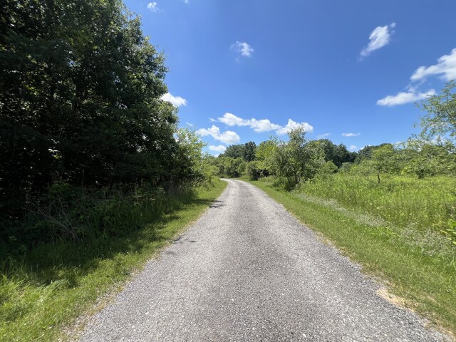 69535 Turkey Trail Dr, Niles, MI 49120 - photo 4