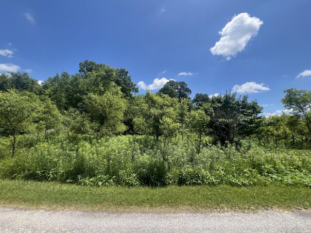 69535 Turkey Trail Dr, Niles, MI 49120 - photo 5