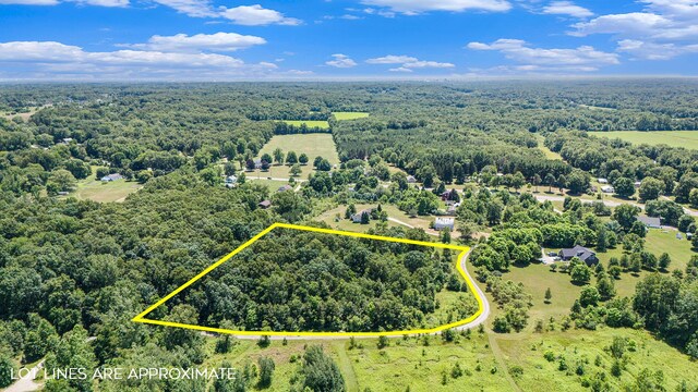 69535 Turkey Trail Dr, Niles, MI 49120 - photo 10
