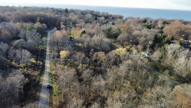 3079 Pershing Dr, Coloma, MI 49038