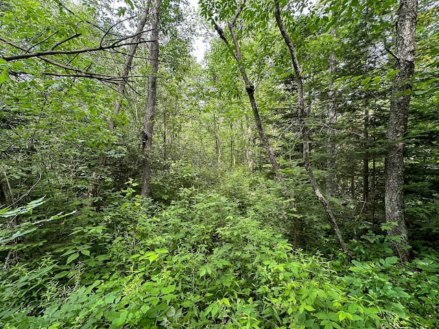 40 N Everett, Roscommon, MI 48653