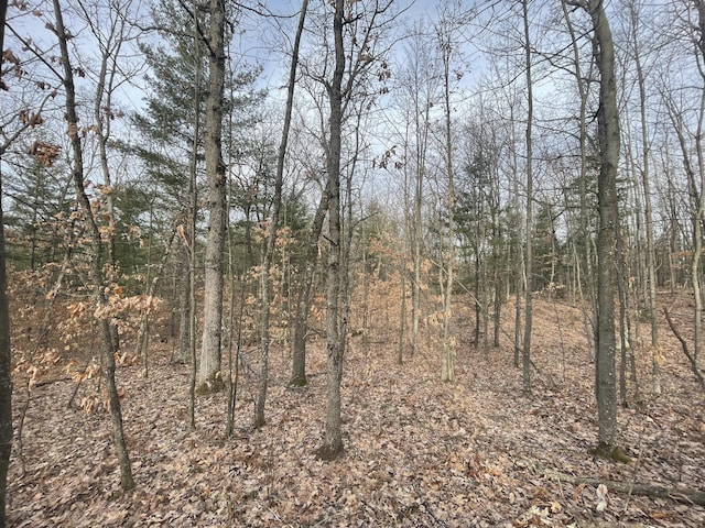 7780 N Harrison Ave, Harrison, MI 48625 - photo 11