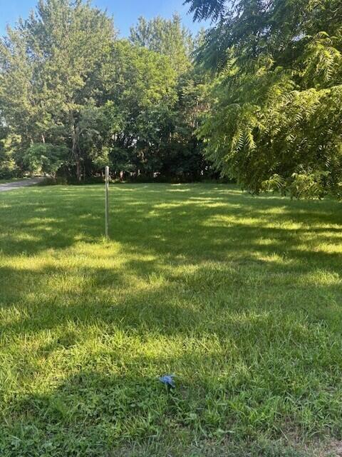 425 S Barker St, New Buffalo, MI 49117 - photo 4