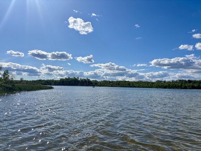 23722 Wilson Rd, Sturgis, MI 49091 - photo 10