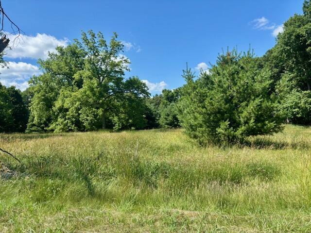 23722 Wilson Rd, Sturgis, MI 49091 - photo 5