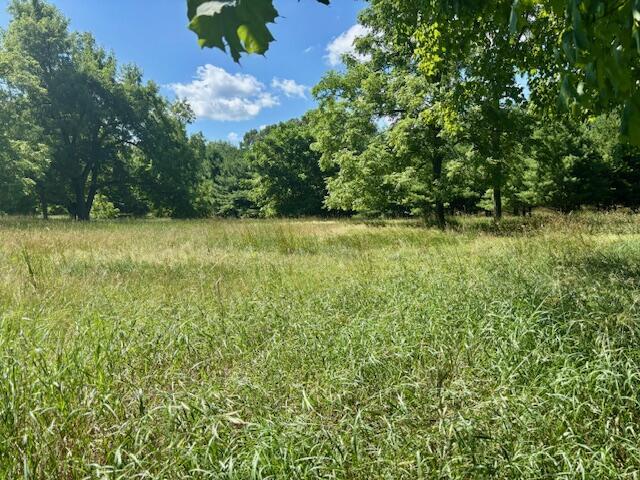 23722 Wilson Rd, Sturgis, MI 49091 - photo 3