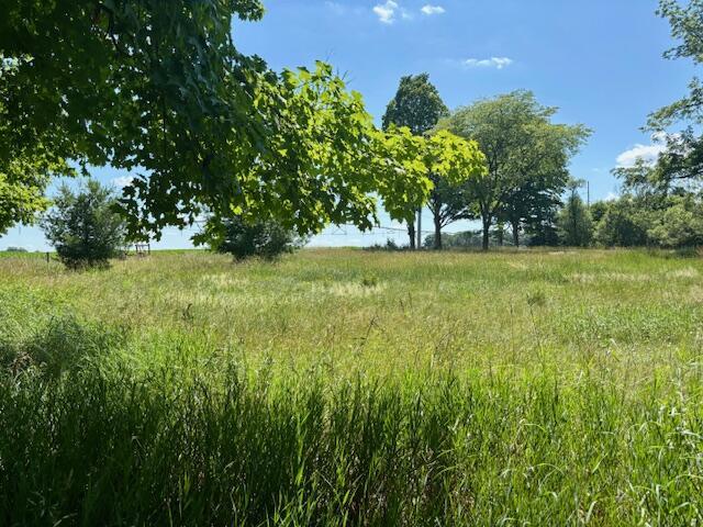 23722 Wilson Rd, Sturgis, MI 49091 - photo 4