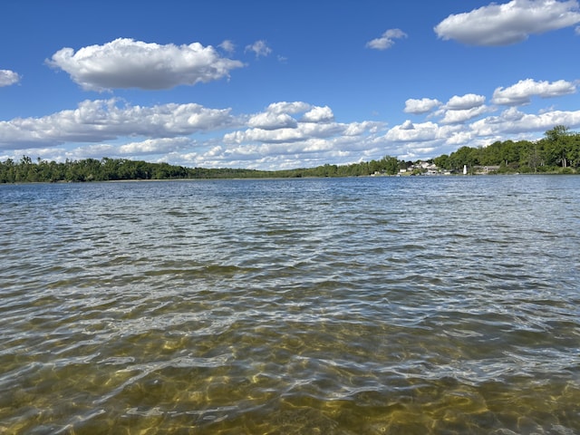 23722 Wilson Rd, Sturgis, MI 49091 - photo 11