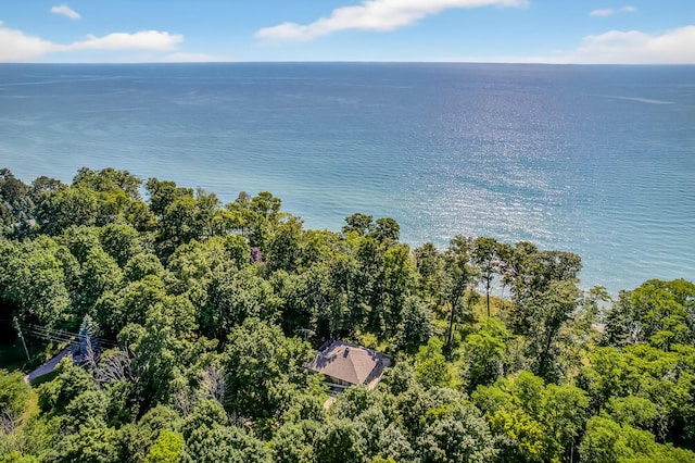 4569 S Lakeshore Dr, Ludington, MI 49431 - photo 52