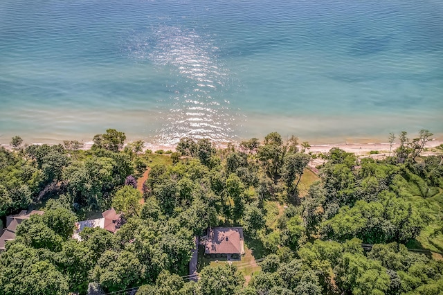 4569 S Lakeshore Dr, Ludington, MI 49431 - photo 53
