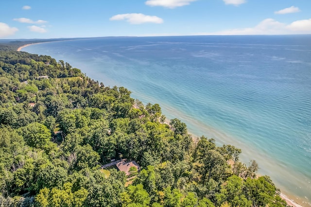 4569 S Lakeshore Dr, Ludington, MI 49431 - photo 9