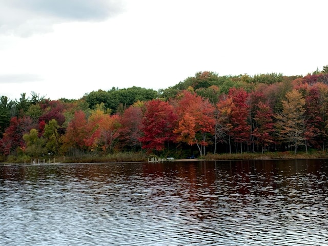 6473 Blue Star Hwy Unit 104, Saugatuck, MI 49453 - photo 23