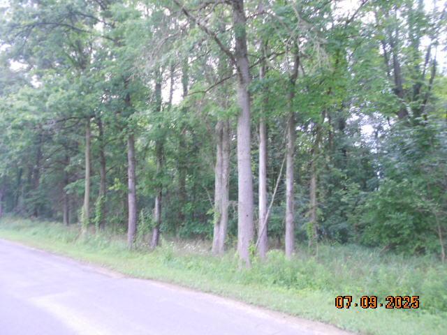 15955 S 29th St, Vicksburg, MI 49097 - photo 1