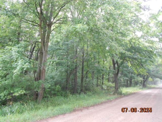 15955 S 29th St, Vicksburg, MI 49097 - photo 4