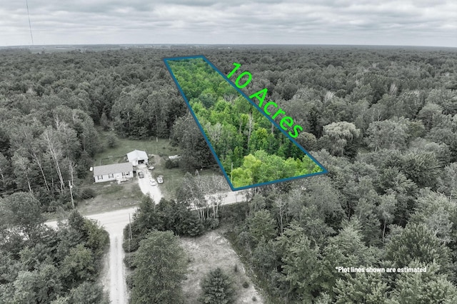 3162 S Alamando Rd, Saint Louis, MI 48880 - photo 1