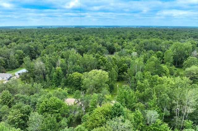 3162 S Alamando Rd, Saint Louis, MI 48880 - photo 6
