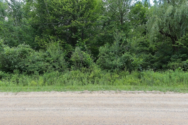 3162 S Alamando Rd, Saint Louis, MI 48880 - photo 13
