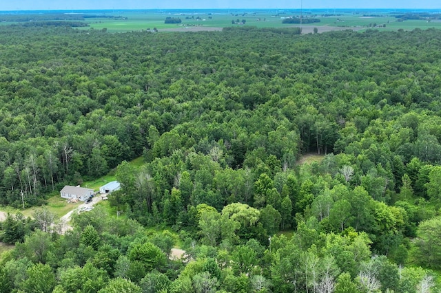 3162 S Alamando Rd, Saint Louis, MI 48880 - photo 2