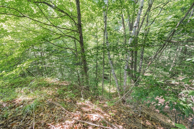 V/L 230th Ave, Tustin, MI 49688
