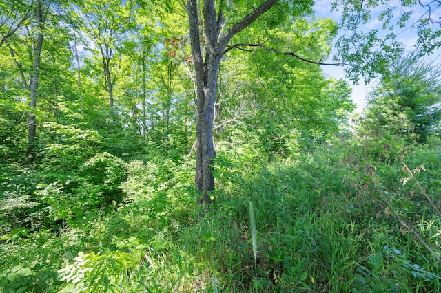 V/L 230th Ave, Tustin, MI 49688