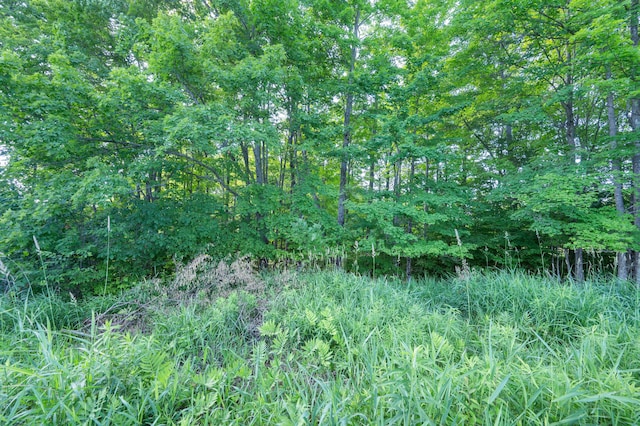 V/L 230th Ave, Tustin, MI 49688