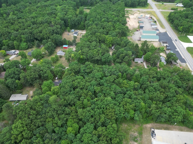 86 S Walhalla Rd, Fountain, MI 49410