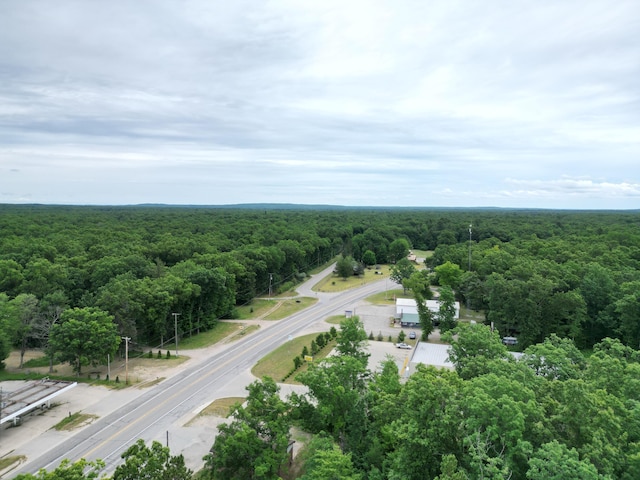 86 S Walhalla Rd, Fountain, MI 49410