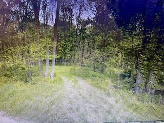Collier Ave, Battle Creek, MI 49017