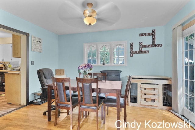 187 Centennial St, Sparta, MI 49345 - dining space with light wood-style flooring, healthy amount of natural light, and ceiling fan