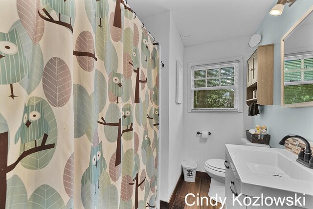 187 Centennial St, Sparta, MI 49345 - bathroom with vanity, wood finished floors, and a shower with shower curtain