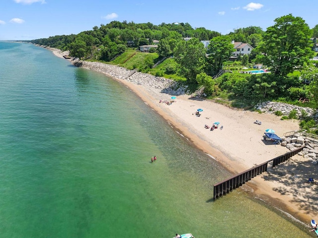 48002 Ridge Rd, New Buffalo, MI 49117 - drone / aerial view of expansive coastline