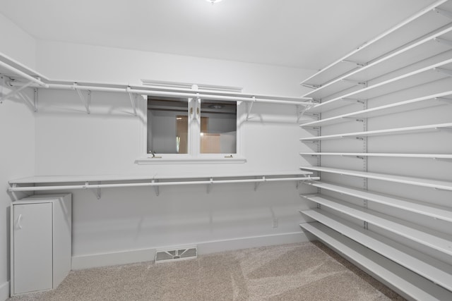 48002 Ridge Rd, New Buffalo, MI 49117 - spacious closet with carpet