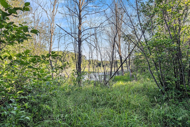 3289 N Felch Ave, White Cloud, MI 49349