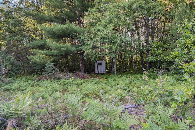 3289 N Felch Ave, White Cloud, MI 49349