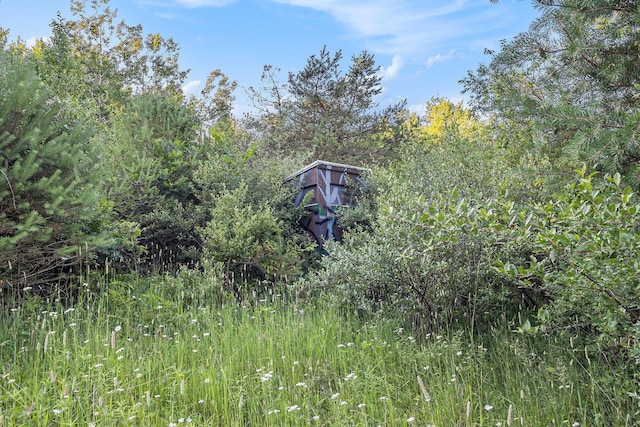 3289 N Felch Ave, White Cloud, MI 49349