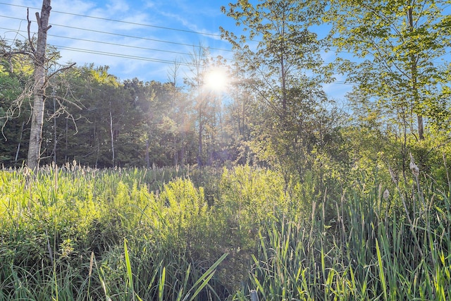 3289 N Felch Ave, White Cloud, MI 49349