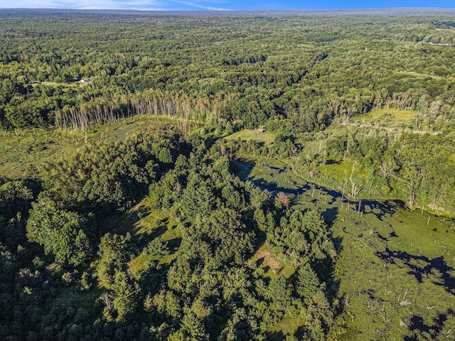 3289 N Felch Ave, White Cloud, MI 49349
