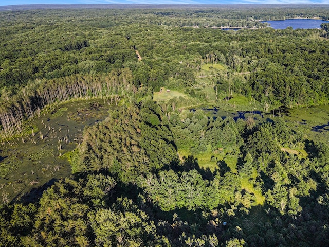3289 N Felch Ave, White Cloud, MI 49349