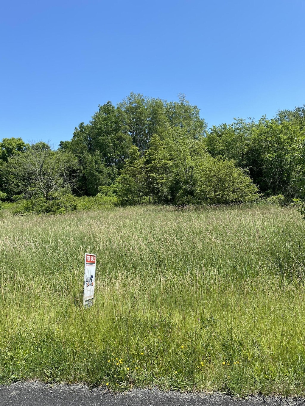 40th St, Bloomingdale, MI 49026 - photo 2