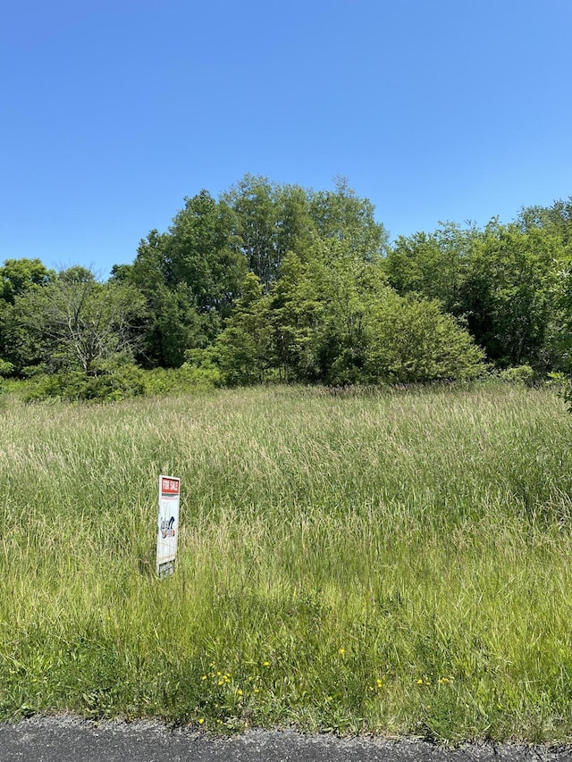 40th St, Bloomingdale, MI 49026 - photo 2