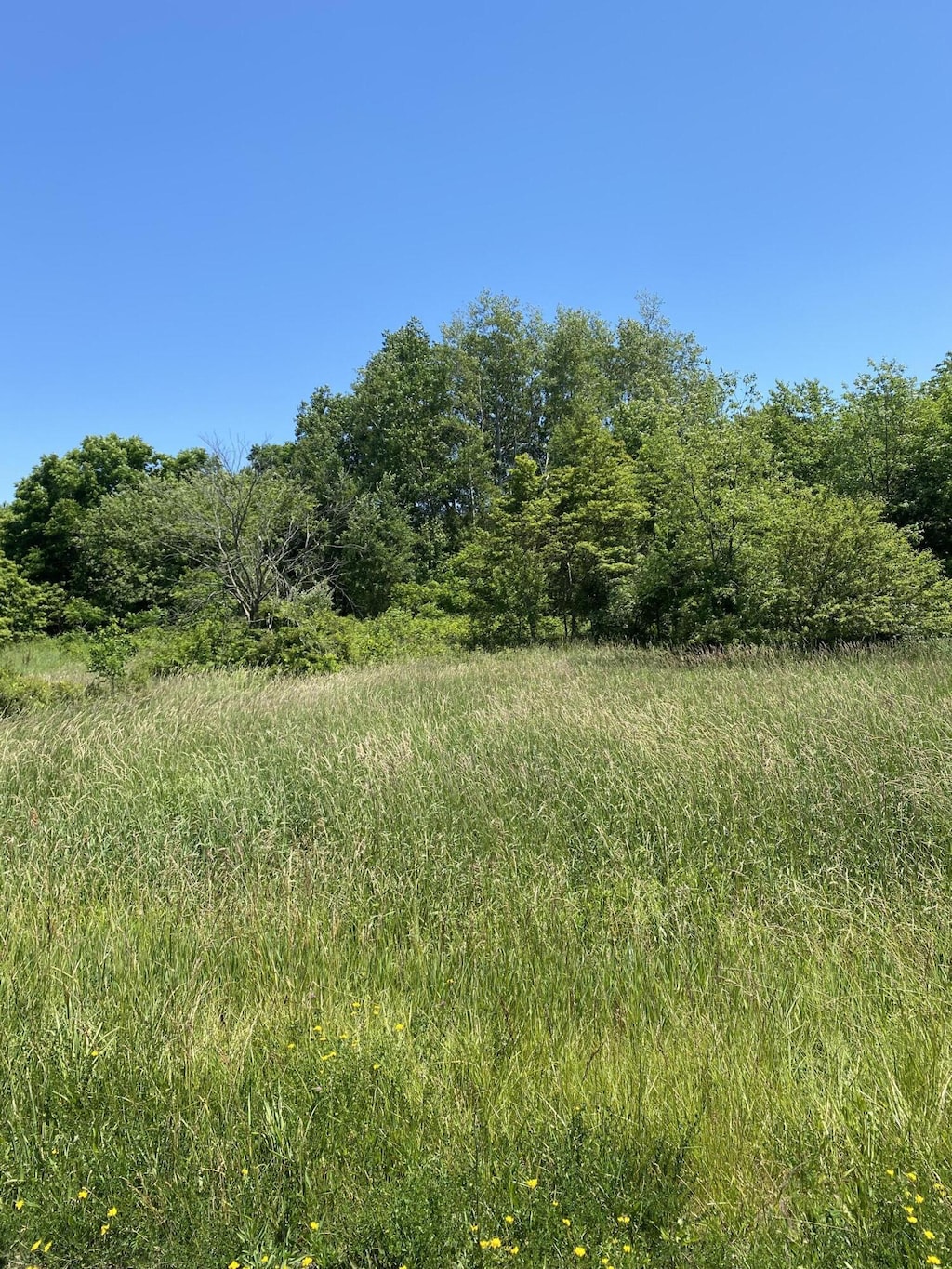 40th St, Bloomingdale, MI 49026 - photo 3