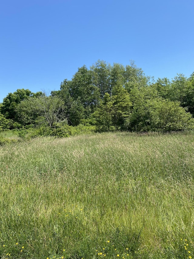 40th St, Bloomingdale, MI 49026 - photo 3